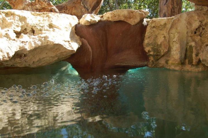 فندق La Hacienda Cancun- El Ramonal, Monkey Sanctuary المظهر الخارجي الصورة